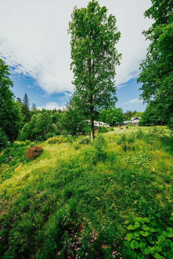 Apartman U Vlka - Hubertus, Karlova Studánka Exterior foto